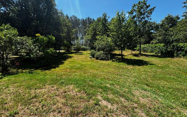 Maison à vendre    5 pièces • 175 m2 Soustons