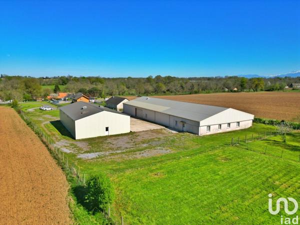 Hangar à vendre 1 234 m² Luquet