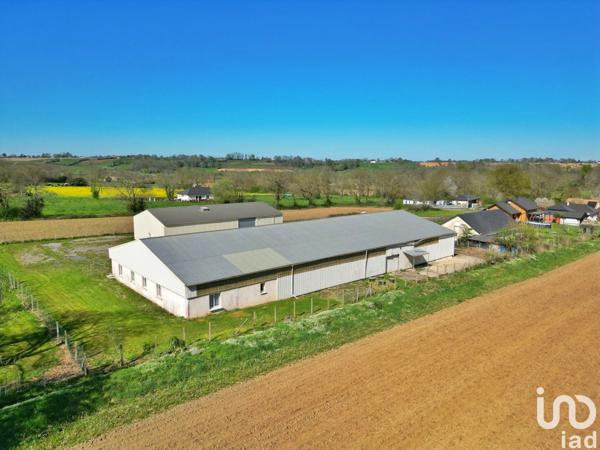 Hangar à vendre 1 234 m² Luquet