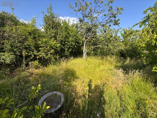 Maison rurale à vendre à Moutiers-au-Perche dans l'Orne (61110), ref : 61081-1084477