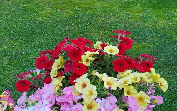 Maison à vendre    5 pièces •  Romans-sur-Isère