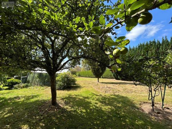 Maison à vendre à Martinvast dans la Manche (50690), ref : 50061-1089078