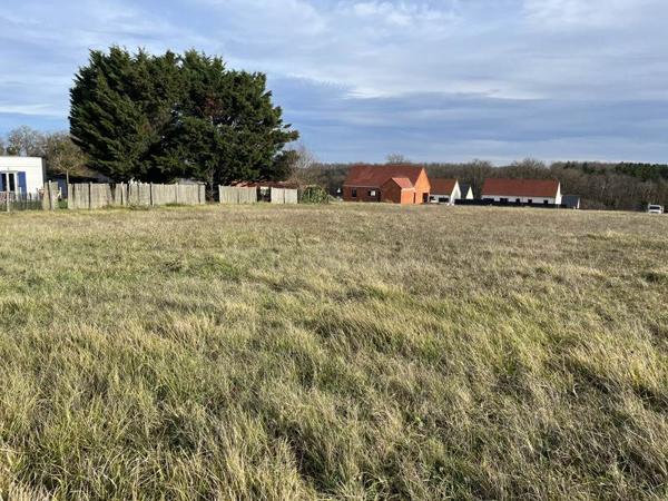 Terrain à vendre |  Angé |  855 m²