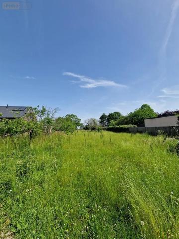 Achat - Terrain à bâtir Loire-Authion 49250 1348 m 2