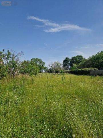 Achat - Terrain à bâtir Loire-Authion 49250 1348 m 2