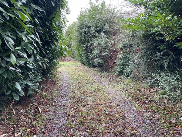 Terrain Villiers Saint Denis