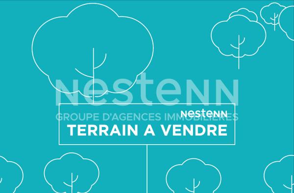 Terrain constructible non viabilisé, libre de constructeur - Proche Chemillé - Réf. D6043