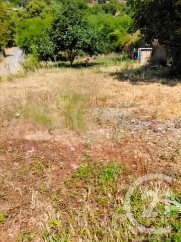 Terrain à vendre  560 m 2   SCOLCA  - 202