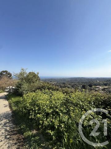 Terrain à vendre  560 m 2   SCOLCA  - 202