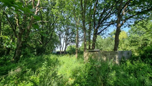 Terrain Agricole Viticole Les Sables D Olonne