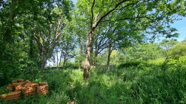 Terrain Agricole Viticole Les Sables D Olonne