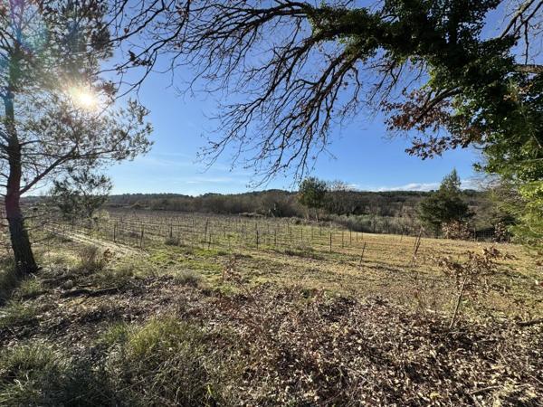 Vente / Terrain agricole