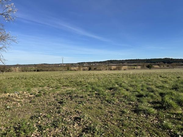 Vente / Terrain agricole