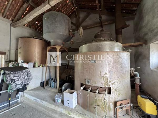 A vendre Château avec domaine et 74 hectares