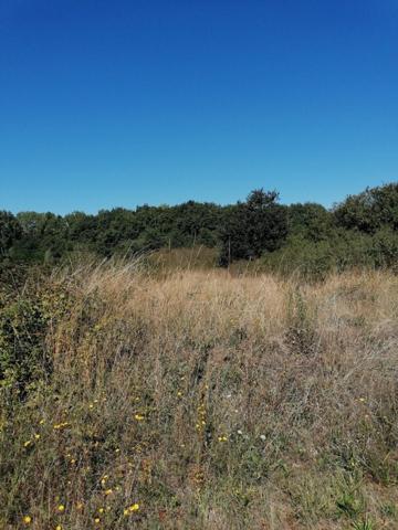 Terrain grande surface