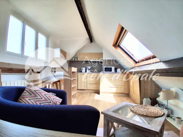 Studio 1 pièce(s) 21.07 m²