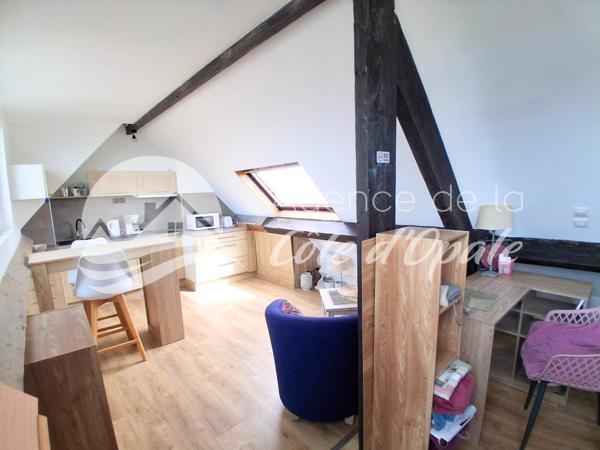 Studio 1 pièce(s) 21.07 m²