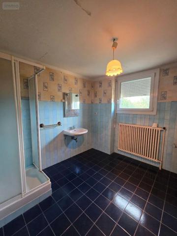 Achat - Maison | Pavillon Saint-Vincent-sur-Oust 56350 5 pièces 131 m 2 2690 m 2
