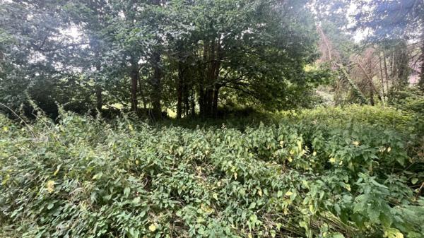 Terrain de loisirs à Saint Jean Sur Mayenne