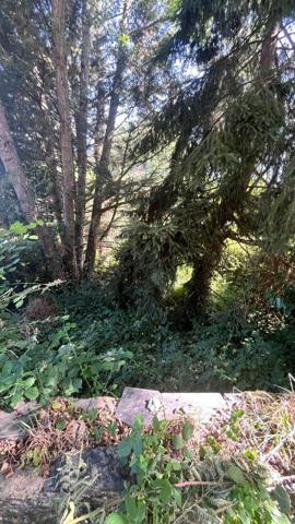 Terrain de loisirs à Saint Jean Sur Mayenne