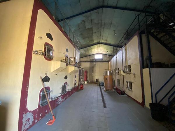 Opportunité unique à Pomerol : un ensemble immobilier rare