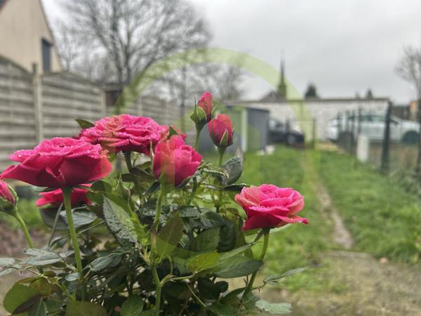 Maison à MAUBEUGE (59600)