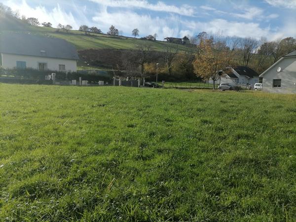 Terrain Mauleon Licharre 736 m2