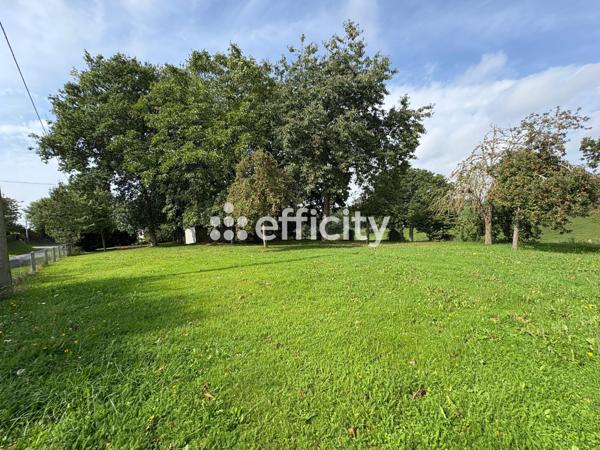 Maison 3 pièces - 65 m² Exclusivité efficity