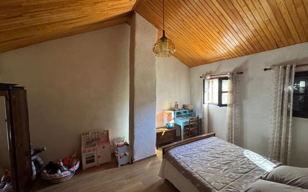 Maison à vendre    6 pièces •  Saint-Michel-de-Dèze