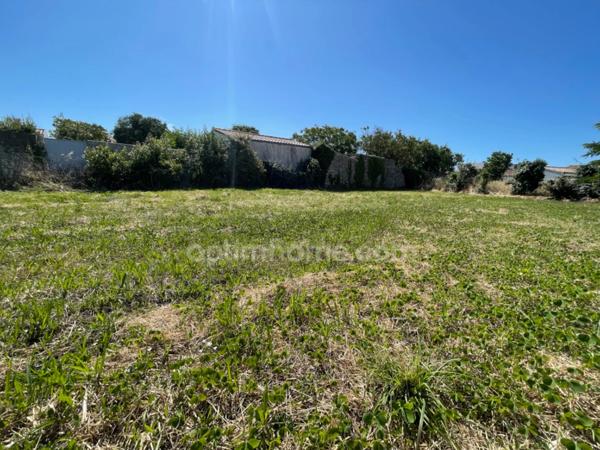 Terrain à vendre SAINTE MARIE DE RE (17)