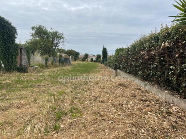 Terrain à vendre SAINTE MARIE DE RE (17)