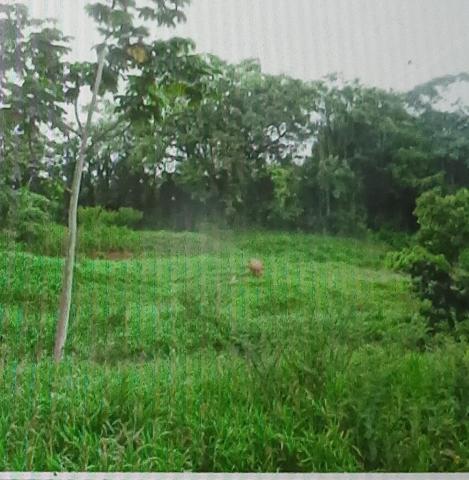 TERRAIN A FORT POTENTIEL