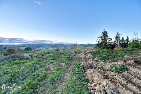 Terrain à bâtir au cœur de la végétation