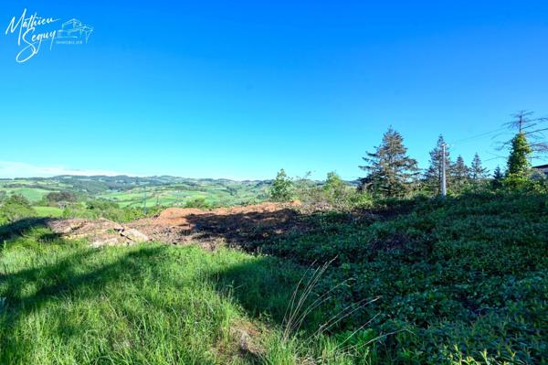 Terrain à bâtir au cœur de la végétation