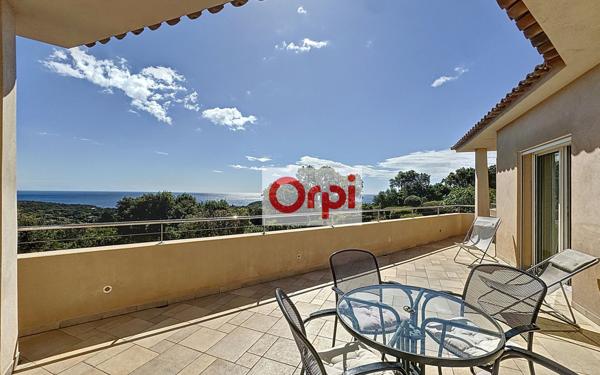 Maison à vendre    7 pièces •  Zonza