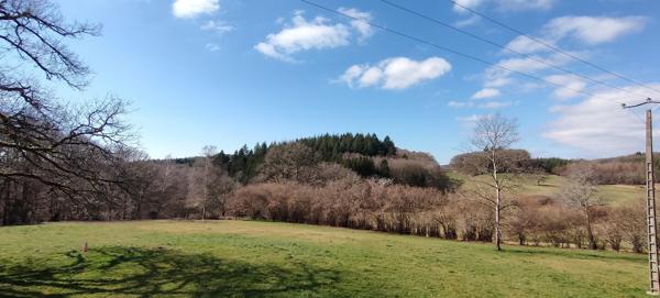 MAISON FAMILIALE RÉNOVÉE AVEC GOÛT