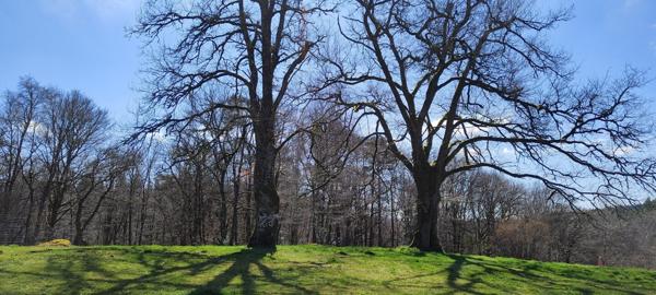 MAISON FAMILIALE RÉNOVÉE AVEC GOÛT