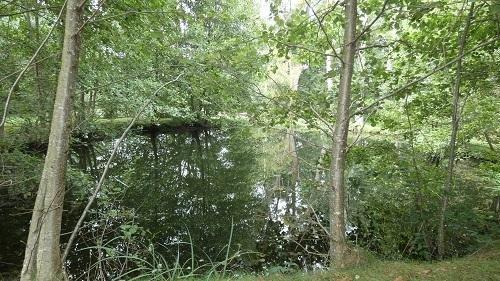 Vente / Terrain de loisirs à Saint-Mars-d'Outillé (72220)