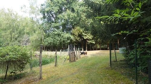 Vente / Terrain de loisirs à Saint-Mars-d'Outillé (72220)