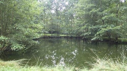 Vente / Terrain de loisirs à Saint-Mars-d'Outillé (72220)