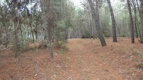 Vente / Terrain de loisirs à Saint-Mars-d'Outillé (72220)