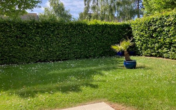 Appartement à vendre    3 pièces • 53,81 m2 Cabourg