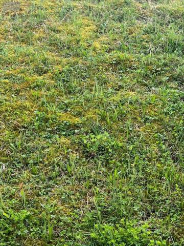 Terrain à Batir à vendre à Rochefort-sur-Nenon dans le Jura (39700), ref : 39033-1044068