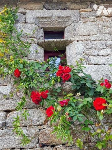 A 15 minutes de Quimperlé et 25 minutes des plages maison de caractère.
Rénovée complétement e...