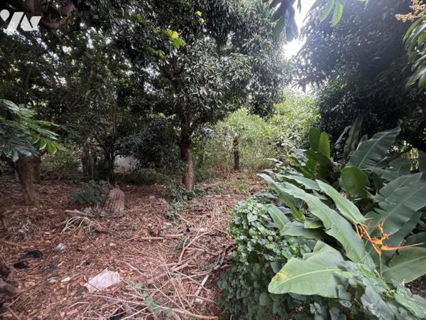 Terrain 645m² ravine des cabris