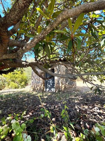Cotignac – Maison de charme avec piscine, bastidon et court de tennis privé