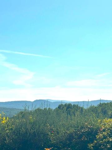 Cotignac – Maison de charme avec piscine, bastidon et court de tennis privé