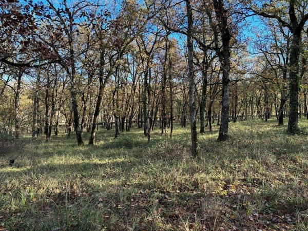 Maison à vendre à Livernon dans le Lot (46320), ref : 46030/MAIS/439