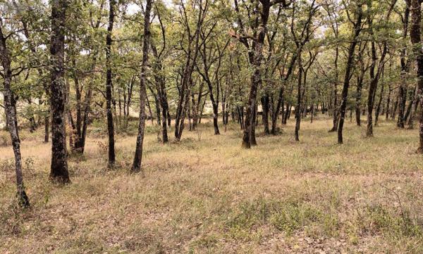 Maison à vendre à Livernon dans le Lot (46320), ref : 46030/MAIS/439