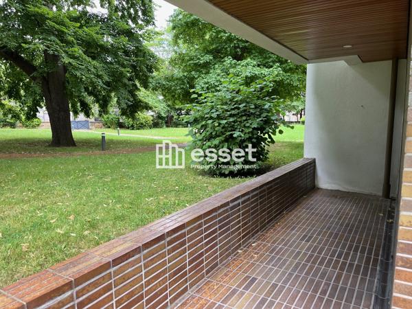 Location Studio 40 m² - Versailles 78000